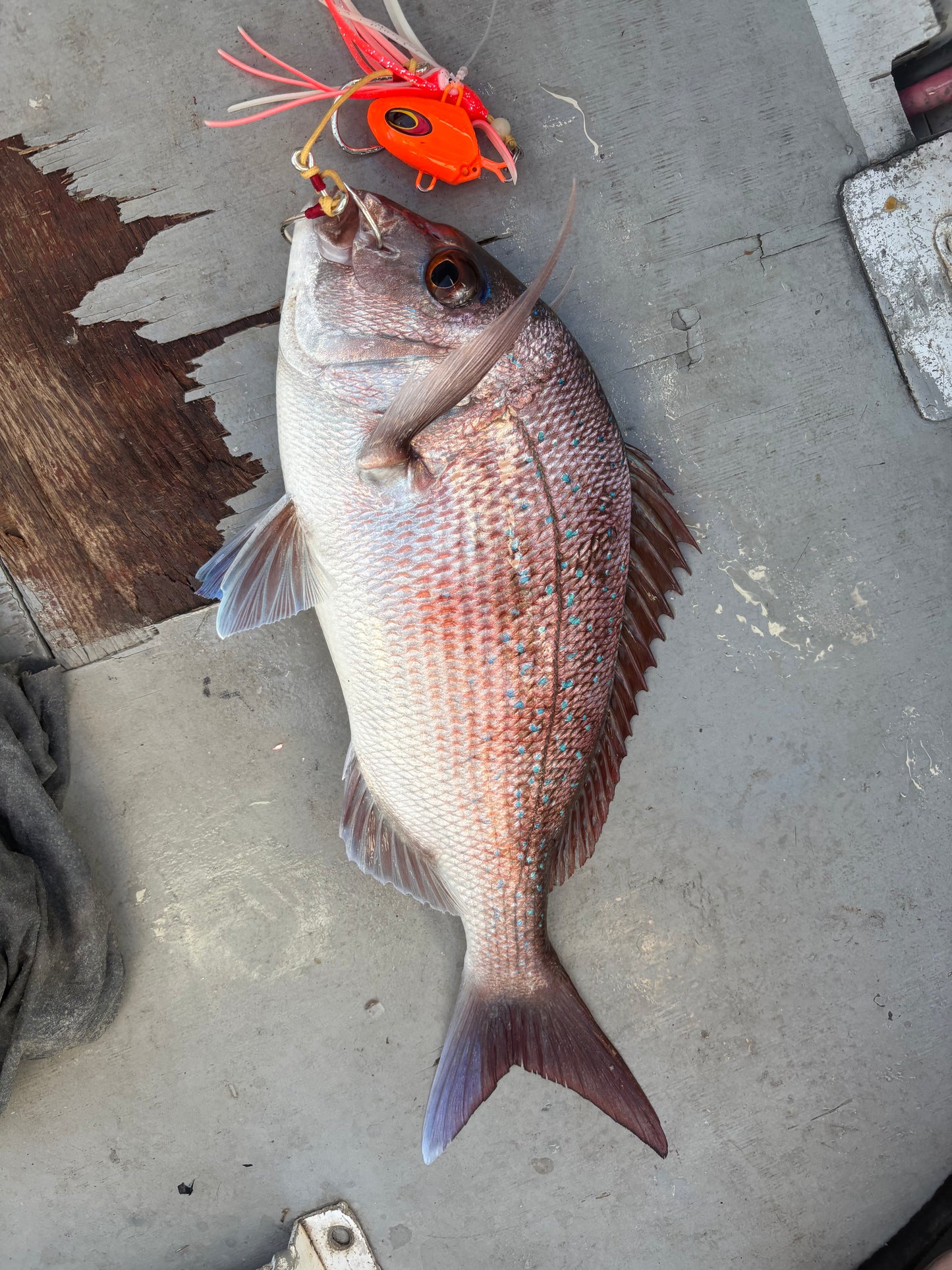 Pink Hybrid Bottom Jig