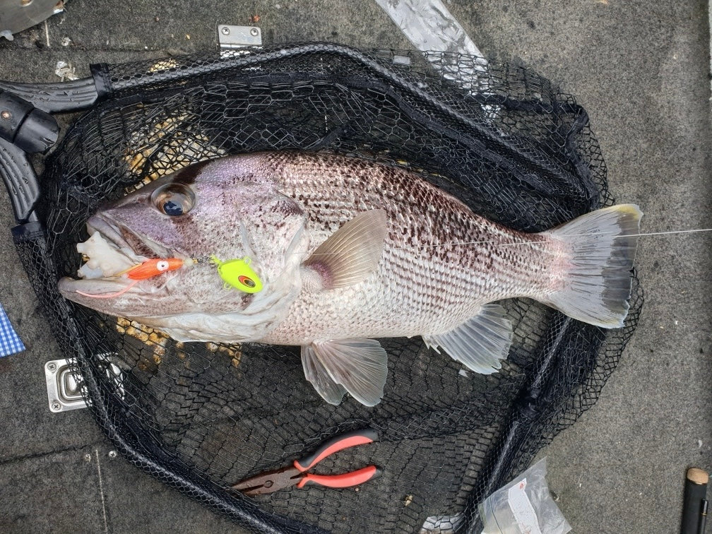 Pink Hybrid Bottom Jig